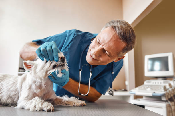 Best Emergency Dentist for Knocked-Out Tooth in Washington, GA
